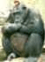 Benutzeravatar