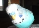 Benutzeravatar