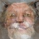 Benutzeravatar