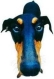 Benutzeravatar